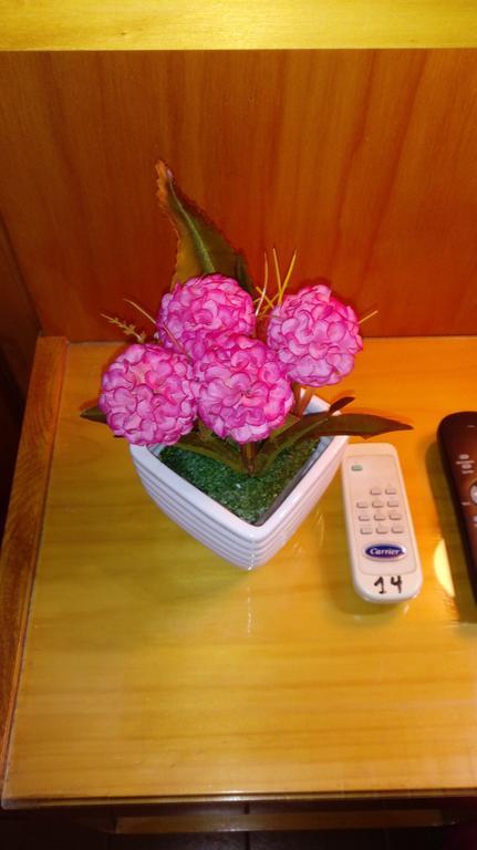 Hotel Ideal Монтекарло Екстериор снимка